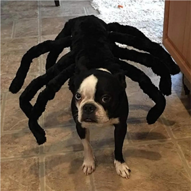 Spooky Spider Costume for Pets - Halloween Cosplay Outfit with 8 Legs, Comfortable Cotton, Adjustable Straps for Small to Large Dogs & Cats