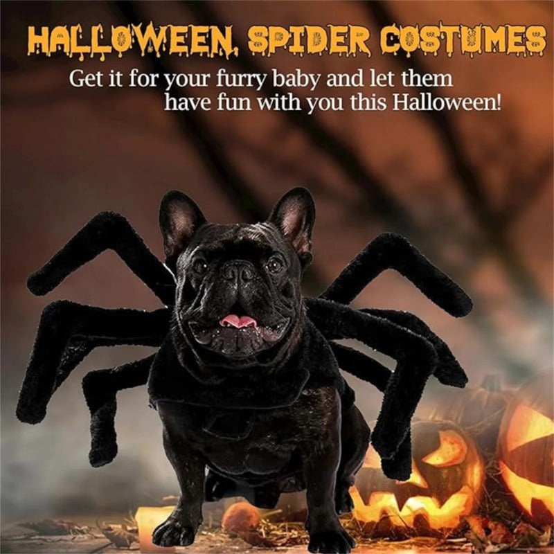 Spooky Spider Costume for Pets - Halloween Cosplay Outfit with 8 Legs, Comfortable Cotton, Adjustable Straps for Small to Large Dogs & Cats