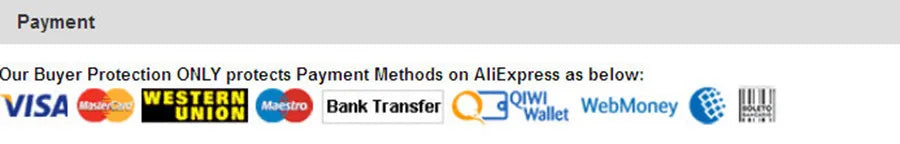 Mini Electric Water Heater Immersion Instantaneous Water Heating Rod 12V/24V Portable Car Hot Water Boiler Heater