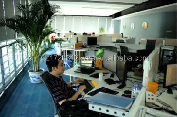 Peekaboo Electric Puzzle Bears Talking Open Mouth Teddy Bear Plush Toy