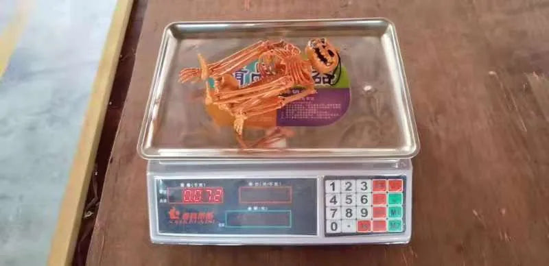 Halloween Person Size Skeleton  Hanging Props Poseable Movable Fake Human Skull Bones Haunted House Party Decoration