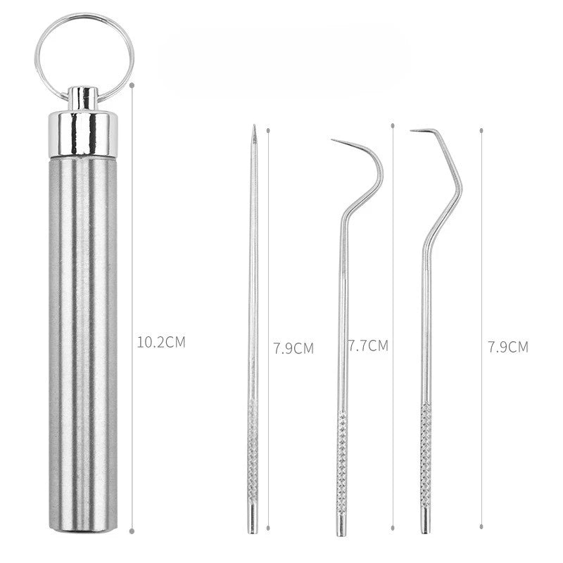 Stainless Steel Toothpick Set Tooth Flossing Reusable Toothpicks Portable Toothpick Floss Teeth Cleaner Oral Cleaning