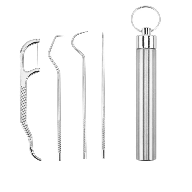 Stainless Steel Toothpick Set Tooth Flossing Reusable Toothpicks Portable Toothpick Floss Teeth Cleaner Oral Cleaning
