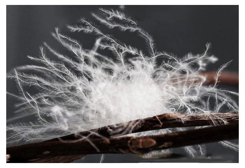 Winter Women's Down Jacket Sleeveless Cropped Puffer Jacket  Lightweight Nylon Coats Vest for Women Parkas Office Chaqueta