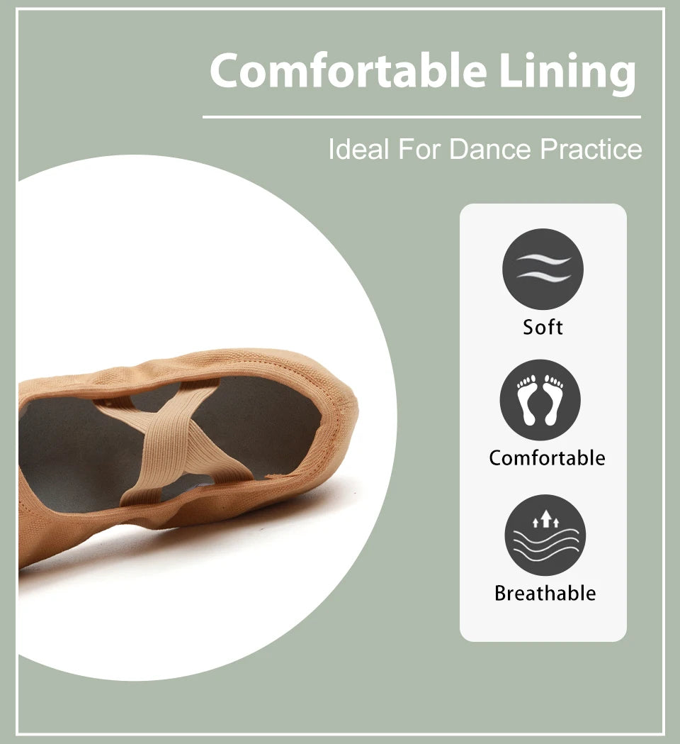Women Dance Shoes Teacher Training Shoes Adults Latin Shoes Girls Soft sole Ballet Shoes Jazz Yoga Belly Dance Shoes Female