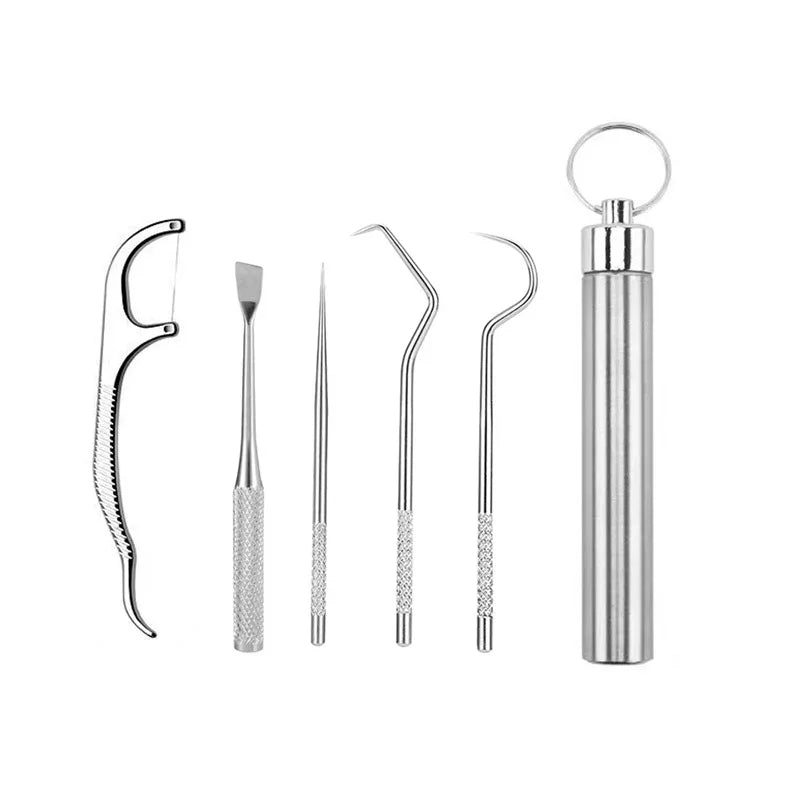 Stainless Steel Toothpick Set Tooth Flossing Reusable Toothpicks Portable Toothpick Floss Teeth Cleaner Oral Cleaning