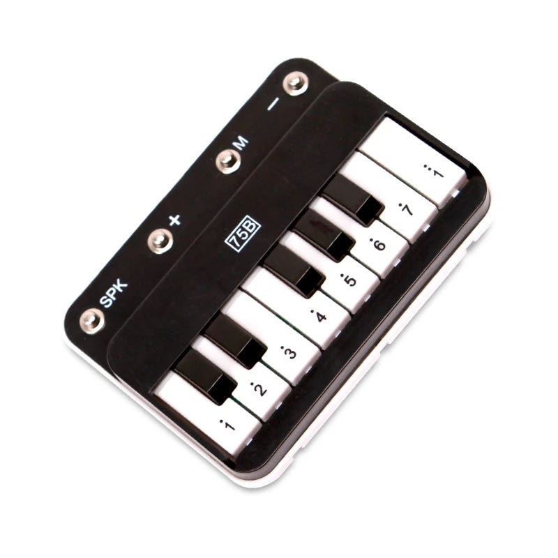 Electronic Building Blocks Science Kits For Kids Integrated Circuit Module Music Alarm Amplifier Radio Module Electronic Parts A