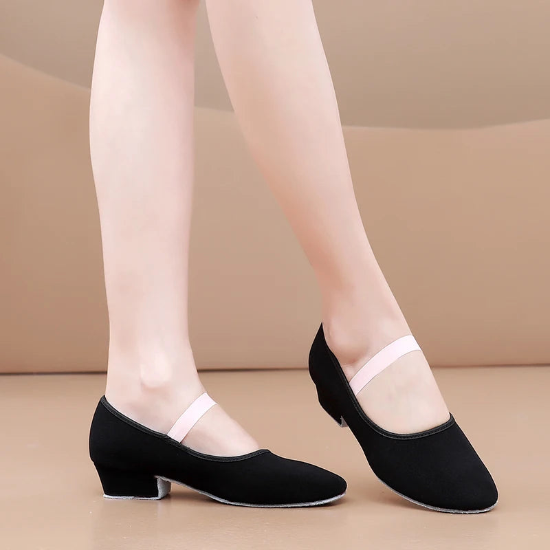 Women Dance Shoes GirlsBallet Jazz Salsa Shoes High Heels Soft Sole Dancing Shoes Pink/Black/Red Women's Teacher Shoes Practic