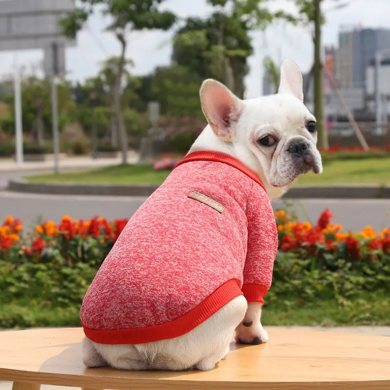 Pet Accessories Winter Dog Clothes for Small Dogs Warm Dogs Coat Pullover Clothing SweatshirtsCasual Dog Cat Clothing Pet Access