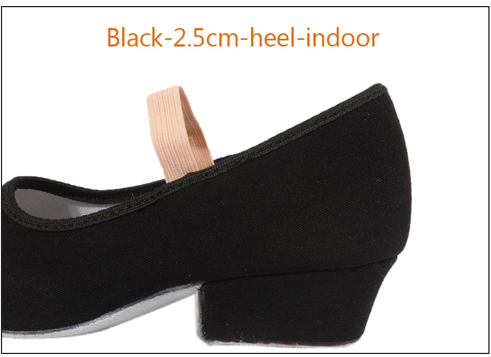 Women Dance Shoes GirlsBallet Jazz Salsa Shoes High Heels Soft Sole Dancing Shoes Pink/Black/Red Women's Teacher Shoes Practic