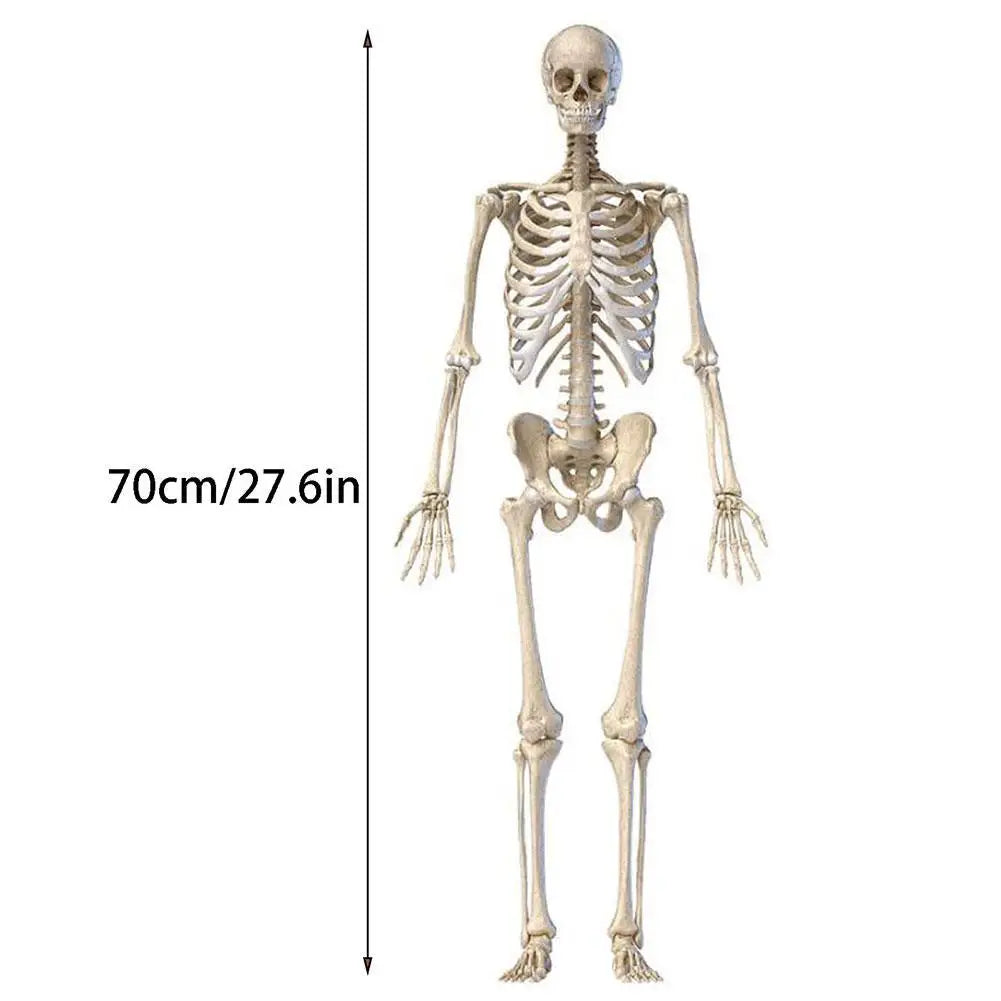 Halloween Human Skeleton Hanging Props Home Evil Party Decoration Horror Scary Movable Big Skull Decorations