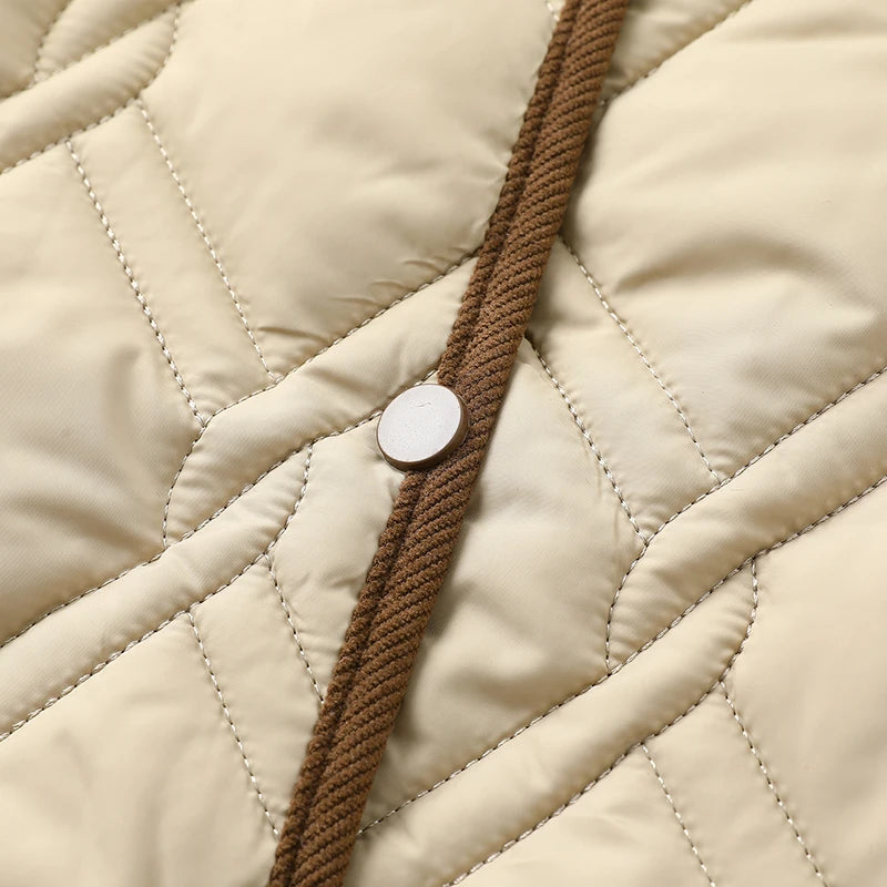 Women's Down Cotton Jacket Fashion Versatile Lady PU Leather Cotton Padded Outerwear Loose Elegant Ladies Winter Parka Coat