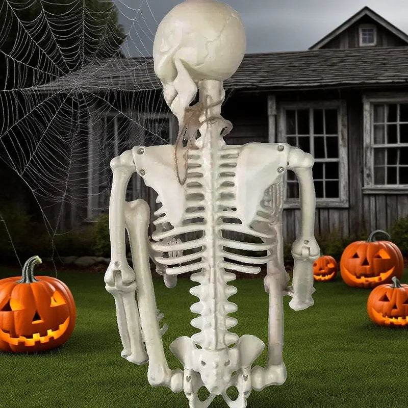 Halloween Human Skeleton 40CM Movable Skeleton, Human Skeleton Halloween Horror Decorations, Haunted House Horror Props