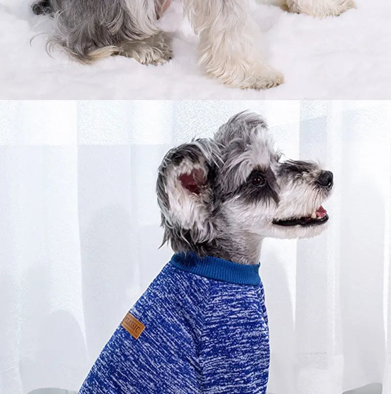 Pet Accessories Winter Dog Clothes for Small Dogs Warm Dogs Coat Pullover Clothing SweatshirtsCasual Dog Cat Clothing Pet Access
