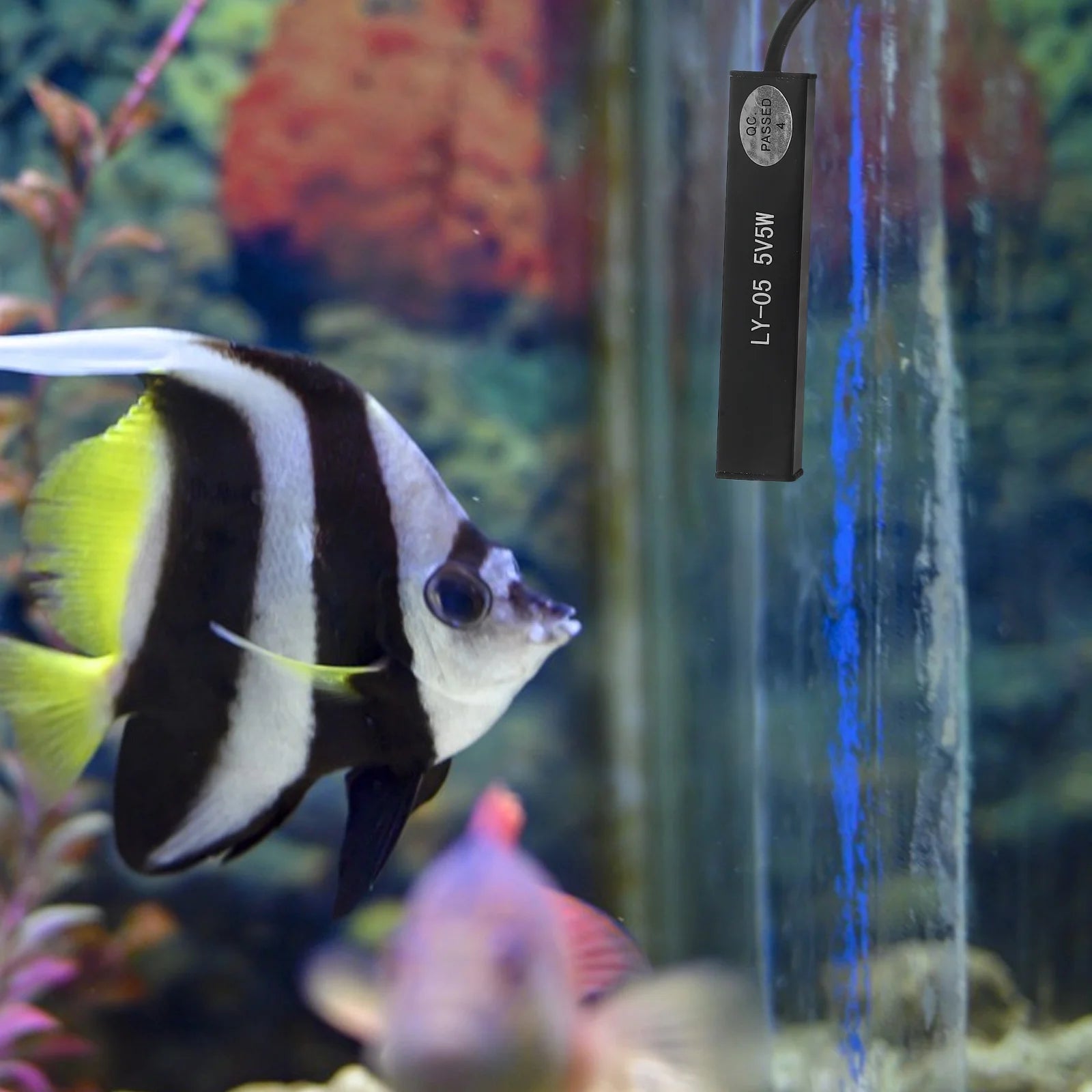 Mini Water Heater Stick USB Powered Constant Temperature Fish Tank Heater for Small Aquariums Turtle Tanks 5W Portable Aquarium