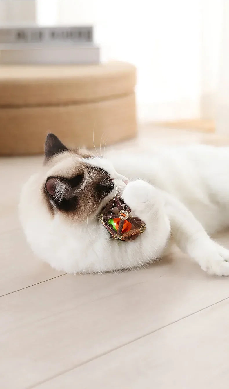 Catnip Ball Toy Kitten Chewing Toys Clean Cats Teeth Healthy Catnip Balls Matatabi Wood Stick Cat Interactive Toys Pets Supplies