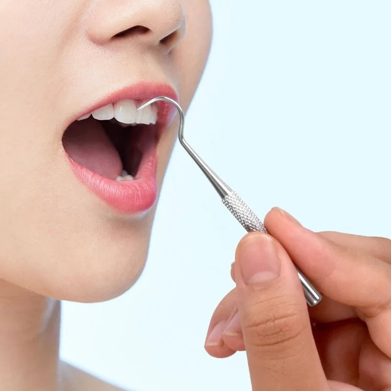 Stainless Steel Toothpick Set Tooth Flossing Reusable Toothpicks Portable Toothpick Floss Teeth Cleaner Oral Cleaning