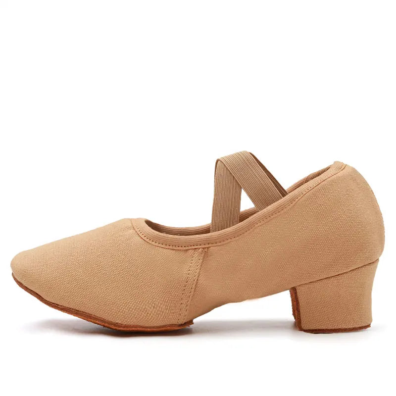 Women Dance Shoes Teacher Training Shoes Adults Latin Shoes Girls Soft sole Ballet Shoes Jazz Yoga Belly Dance Shoes Female