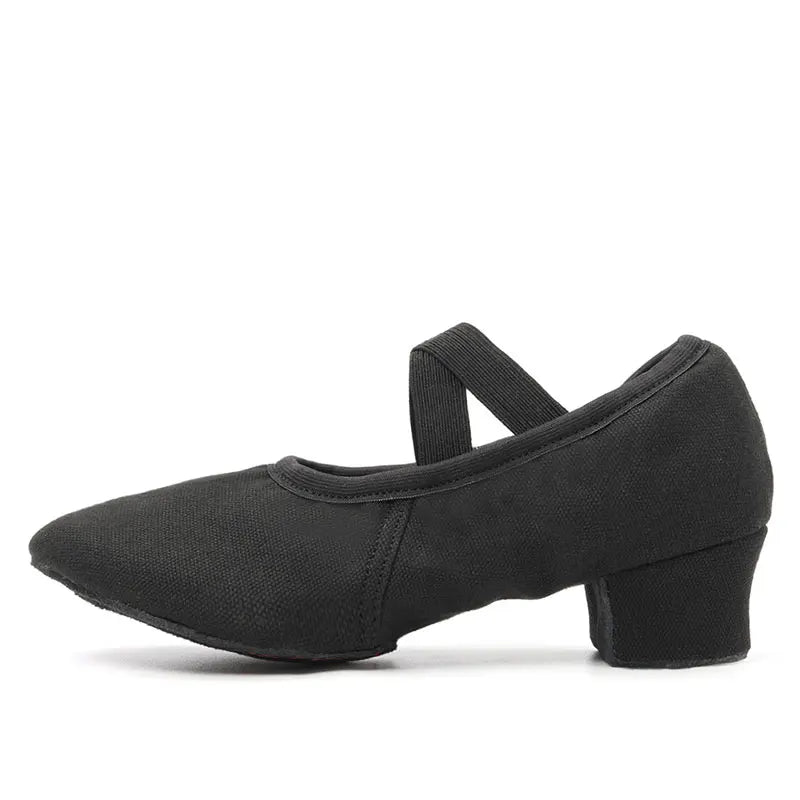 Women Dance Shoes Teacher Training Shoes Adults Latin Shoes Girls Soft sole Ballet Shoes Jazz Yoga Belly Dance Shoes Female