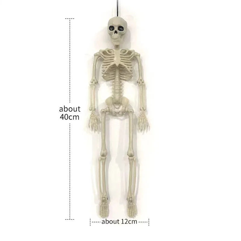 Halloween Human Skeleton 40CM Movable Skeleton, Human Skeleton Halloween Horror Decorations, Haunted House Horror Props