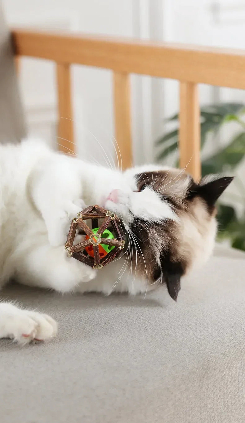 Catnip Ball Toy Kitten Chewing Toys Clean Cats Teeth Healthy Catnip Balls Matatabi Wood Stick Cat Interactive Toys Pets Supplies