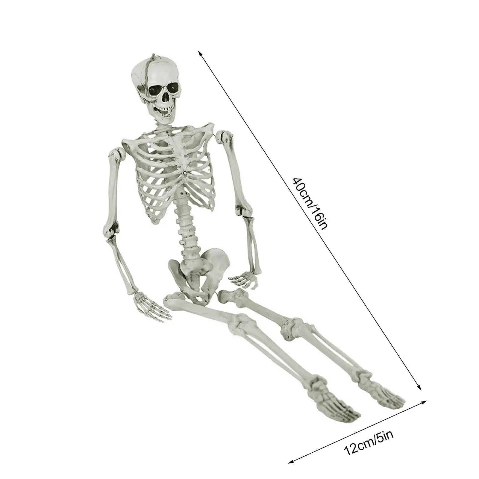 Halloween Human Skeleton Hanging Props Home Evil Party Decoration Horror Scary Movable Big Skull Decorations