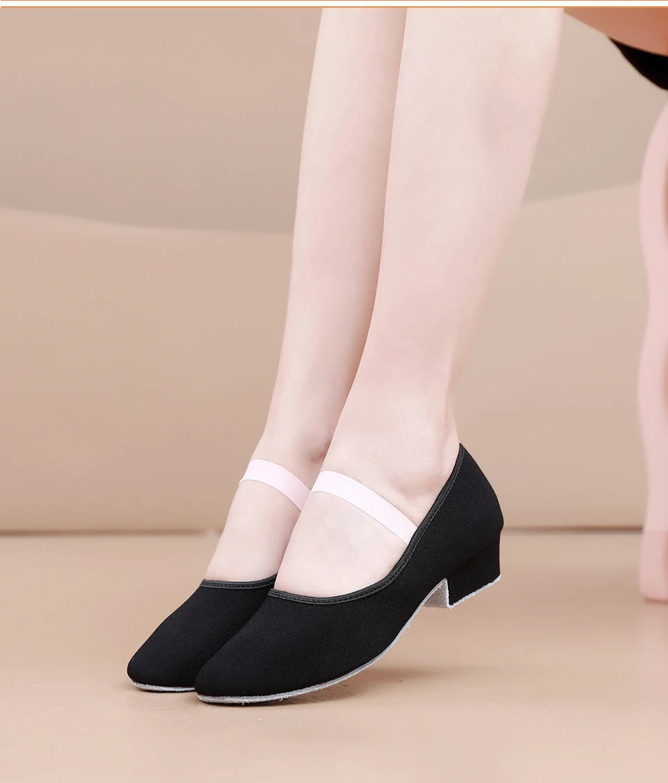 Women Dance Shoes GirlsBallet Jazz Salsa Shoes High Heels Soft Sole Dancing Shoes Pink/Black/Red Women's Teacher Shoes Practic