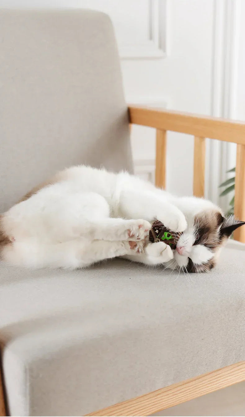 Catnip Ball Toy Kitten Chewing Toys Clean Cats Teeth Healthy Catnip Balls Matatabi Wood Stick Cat Interactive Toys Pets Supplies