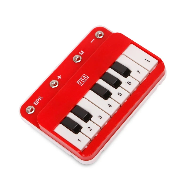 Electronic Building Blocks Science Kits For Kids Integrated Circuit Module Music Alarm Amplifier Radio Module Electronic Parts A