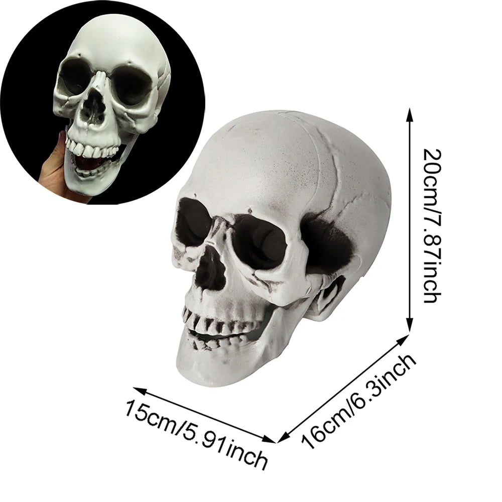 Halloween Skull Decoration,Realistic Plastic Skull,Head Skeleton,Halloween Party Home Yard Decoration,Haunted House Horror Props