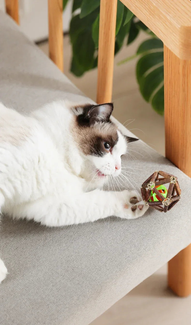 Catnip Ball Toy Kitten Chewing Toys Clean Cats Teeth Healthy Catnip Balls Matatabi Wood Stick Cat Interactive Toys Pets Supplies