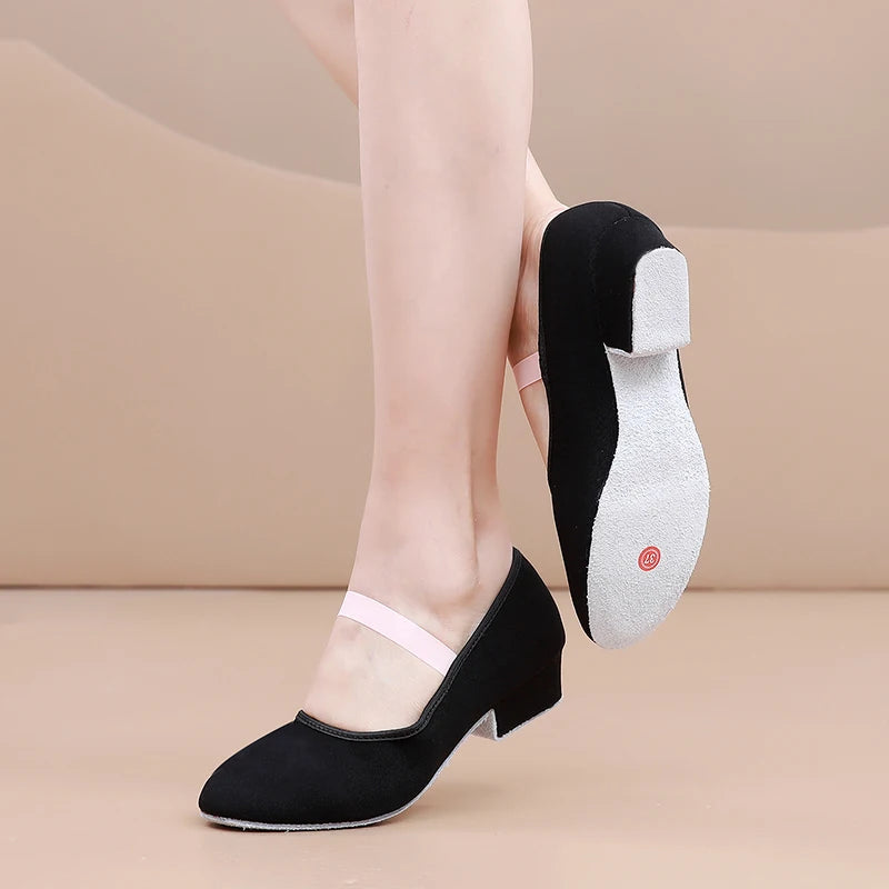 Women Dance Shoes GirlsBallet Jazz Salsa Shoes High Heels Soft Sole Dancing Shoes Pink/Black/Red Women's Teacher Shoes Practic