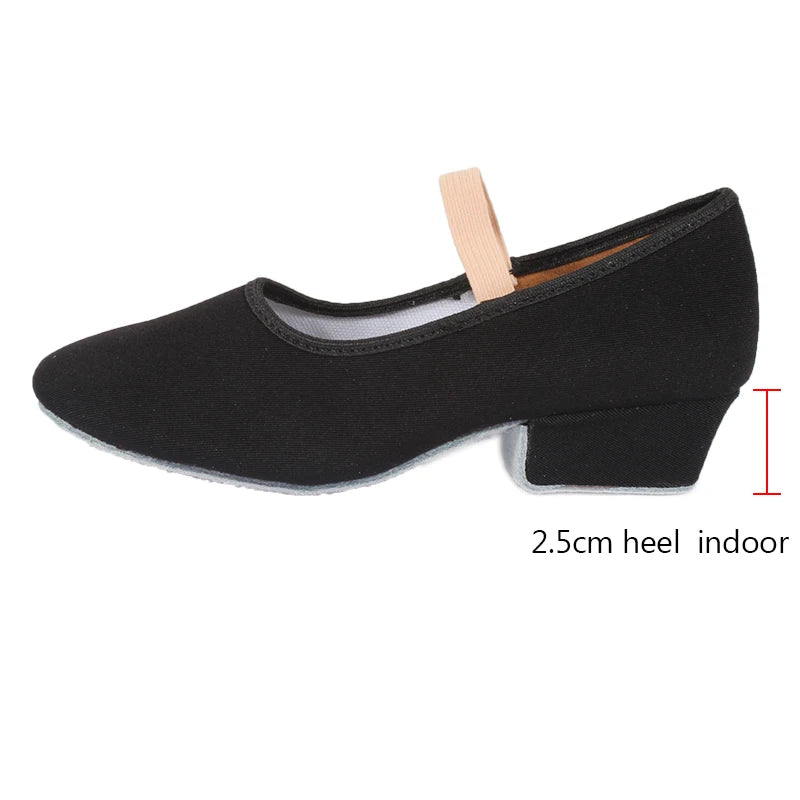 Women Dance Shoes GirlsBallet Jazz Salsa Shoes High Heels Soft Sole Dancing Shoes Pink/Black/Red Women's Teacher Shoes Practic