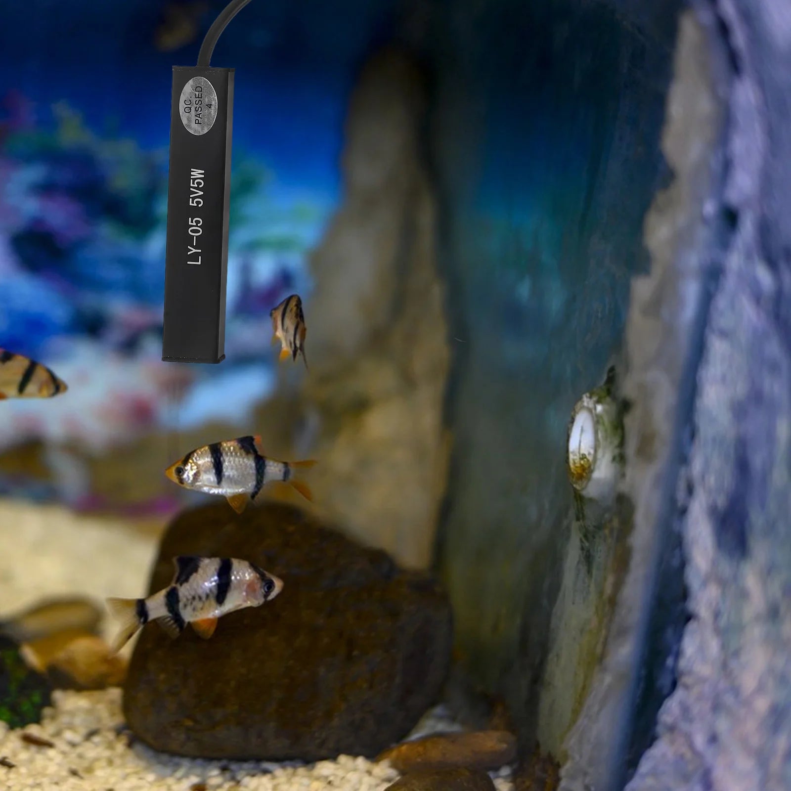 Mini Water Heater Stick USB Powered Constant Temperature Fish Tank Heater for Small Aquariums Turtle Tanks 5W Portable Aquarium