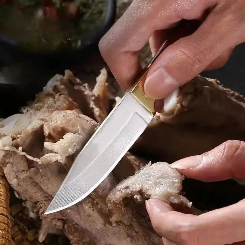 Sharp Fruit Knife, Outdoor Boning-Knife, EDC Portable pocket-Knife, Lamb Chop-Knife, BBQ knife, Survival-Knife, cutting-Knife