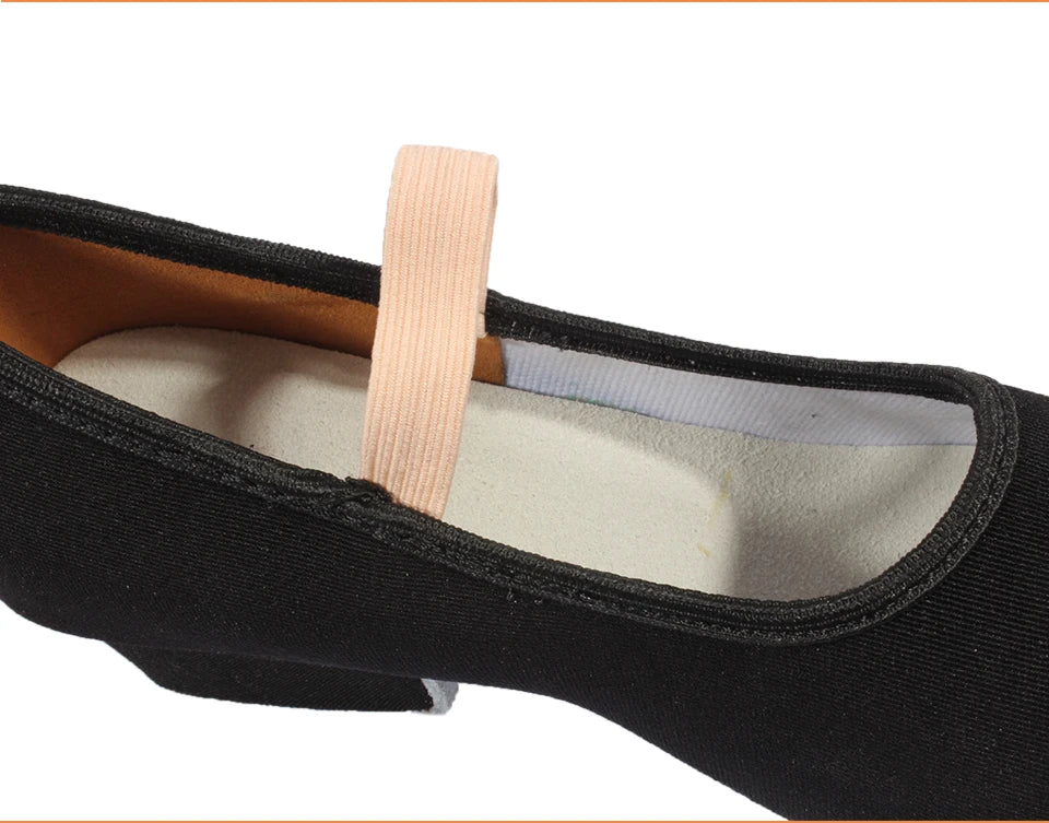 Women Dance Shoes GirlsBallet Jazz Salsa Shoes High Heels Soft Sole Dancing Shoes Pink/Black/Red Women's Teacher Shoes Practic