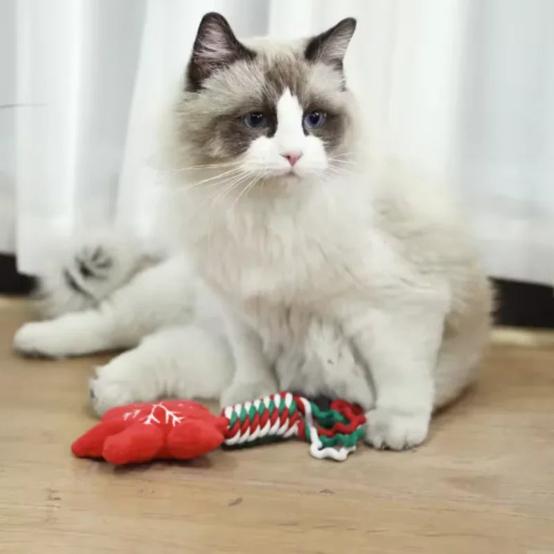 Christmas pet cat and dog toys, cartoon and cute, biting, sound-sounding, teething, knot toys, holiday party pet supplies