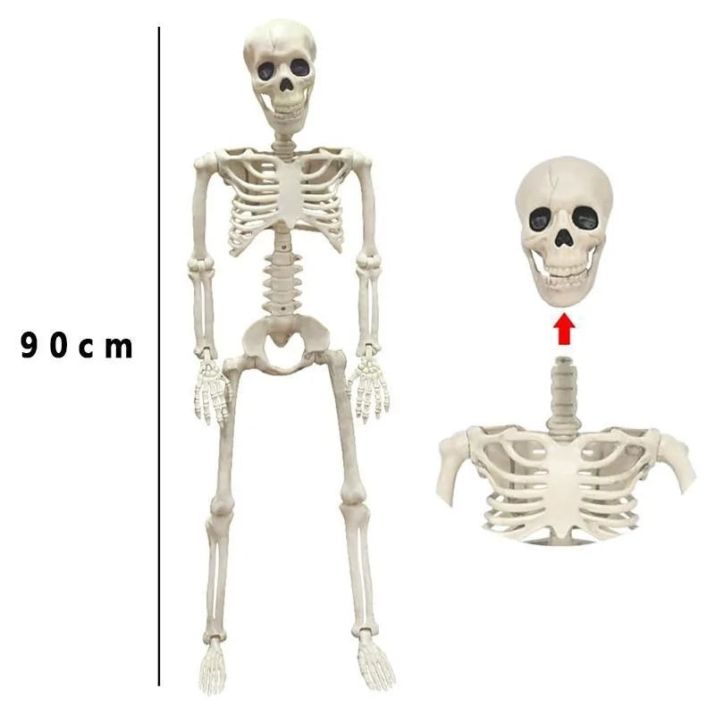 Halloween Human Skeleton 40CM Movable Skeleton, Human Skeleton Halloween Horror Decorations, Haunted House Horror Props