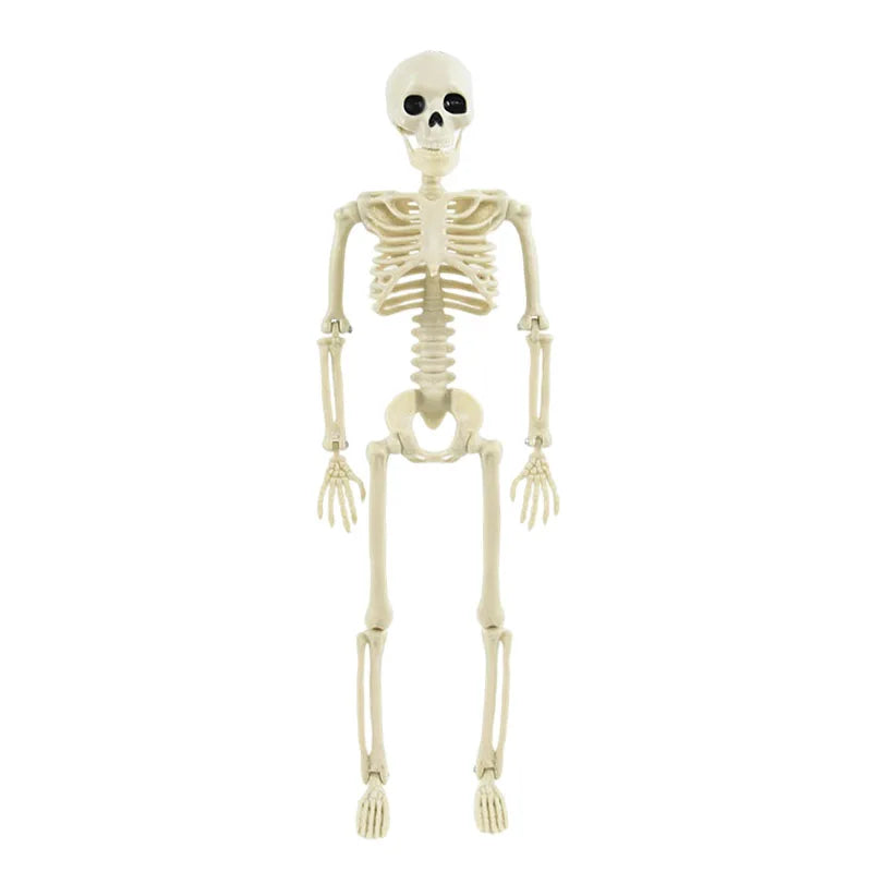 Halloween Movable Skeleton Fake Human Skull Bones Halloween Party Home Bar Decorations Haunted House Horror Props Ornament Toys